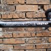Шосеен велосипед Wilier Triestina Escape, втора употреба